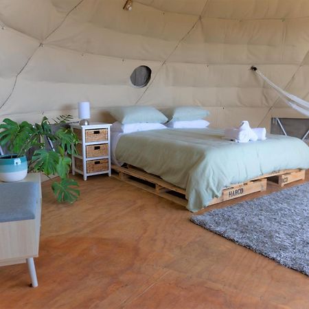 فندق 1 Waipu Off-Grid Eco Seaview Geodesic Glamping Dome المظهر الخارجي الصورة