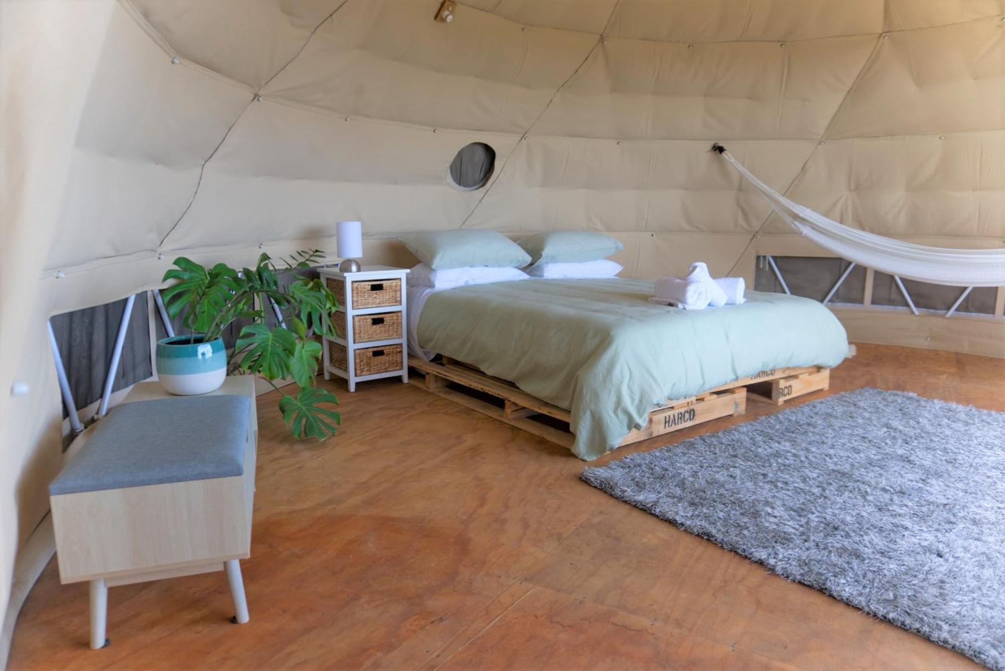 فندق 1 Waipu Off-Grid Eco Seaview Geodesic Glamping Dome المظهر الخارجي الصورة